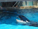 名古屋港水族館に投稿された画像（2021/7/19）