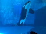 名古屋港水族館に投稿された画像（2021/7/19）