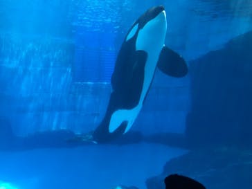 名古屋港水族館に投稿された画像（2021/7/19）