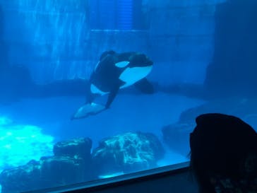 名古屋港水族館に投稿された画像（2021/7/19）