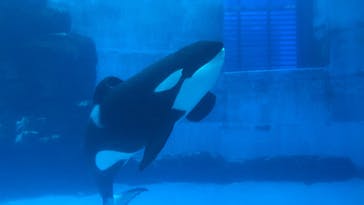 名古屋港水族館に投稿された画像（2021/7/19）