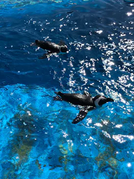 横浜・八景島シーパラダイスに投稿された画像（2021/7/19）