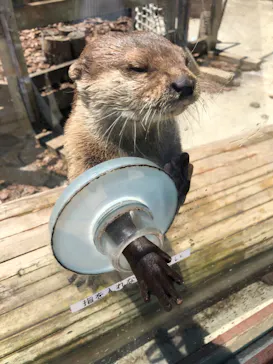 横浜・八景島シーパラダイスに投稿された画像（2021/7/19）