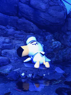 横浜・八景島シーパラダイスに投稿された画像（2021/7/19）