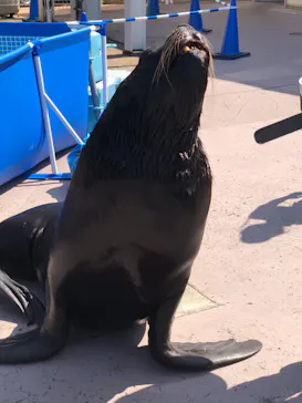 横浜・八景島シーパラダイスに投稿された画像（2021/7/19）