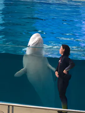 横浜・八景島シーパラダイスに投稿された画像（2021/7/19）