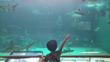 株式会社Gに投稿された画像（2021/7/19）