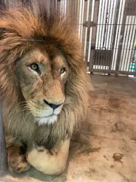 天王寺動物園に投稿された画像（2021/7/19）