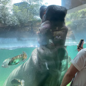 天王寺動物園に投稿された画像（2021/7/19）