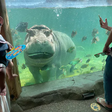 天王寺動物園に投稿された画像（2021/7/19）