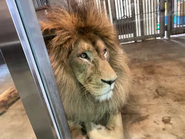 天王寺動物園に投稿された画像（2021/7/19）