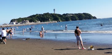 新江ノ島水族館に投稿された画像（2021/7/19）