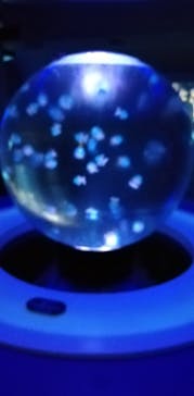 新江ノ島水族館に投稿された画像（2021/7/19）