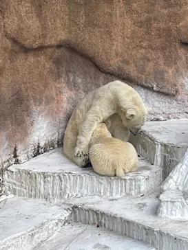 天王寺動物園に投稿された画像（2021/7/19）