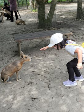 長崎バイオパークに投稿された画像（2021/7/20）