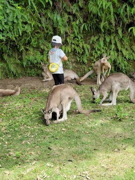 長崎バイオパークに投稿された画像（2021/7/20）