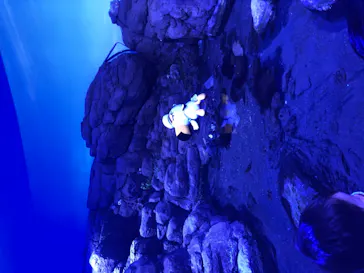 横浜・八景島シーパラダイスに投稿された画像（2021/7/20）