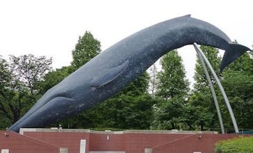 国立科学博物館に投稿された画像（2021/7/20）