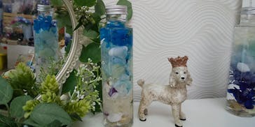 ずこうしつ〜sugamo〜に投稿された画像（2021/7/20）