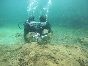 青の洞窟専門店　沖縄ダイビングショップ和に投稿された画像（2021/7/20）