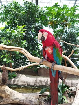 神戸どうぶつ王国に投稿された画像（2021/7/20）