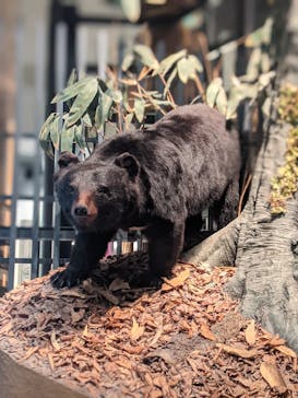 国立科学博物館に投稿された画像（2021/7/21）