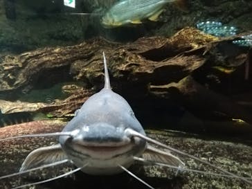 サンシャイン水族館に投稿された画像（2021/7/21）