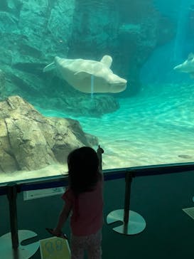 名古屋港水族館に投稿された画像（2021/7/21）