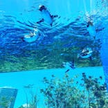 サンシャイン水族館に投稿された画像（2021/7/21）