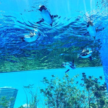 サンシャイン水族館に投稿された画像（2021/7/21）