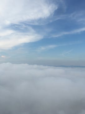 松島熱気球・パラグライダー体験に投稿された画像（2021/7/21）