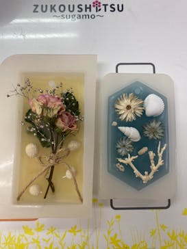 ずこうしつ〜sugamo〜に投稿された画像（2021/7/21）