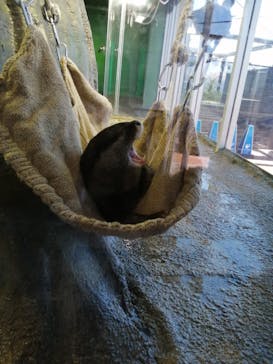 新江ノ島水族館に投稿された画像（2021/7/21）