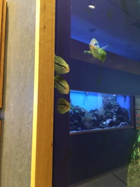 九十九島水族館海きららに投稿された画像（2021/7/21）