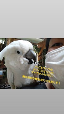 長崎バイオパークに投稿された画像（2021/7/21）