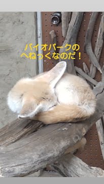 長崎バイオパークに投稿された画像（2021/7/21）