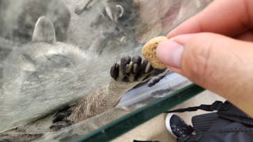 長崎バイオパークに投稿された画像（2021/7/21）