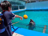 ゼロ距離水族館 伊勢シーパラダイスに投稿された画像（2021/7/21）