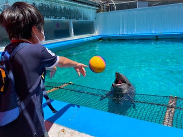 ゼロ距離水族館 伊勢シーパラダイスに投稿された画像（2021/7/21）