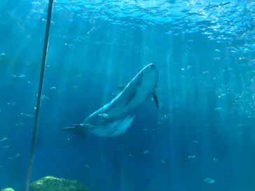 横浜・八景島シーパラダイスに投稿された画像（2021/7/22）