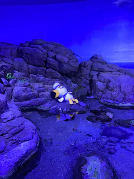 横浜・八景島シーパラダイスに投稿された画像（2021/7/22）