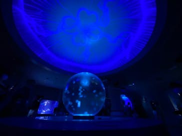 新江ノ島水族館に投稿された画像（2021/7/22）