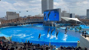 名古屋港水族館に投稿された画像（2021/7/22）