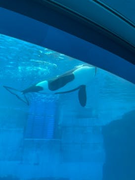 名古屋港水族館に投稿された画像（2021/7/22）