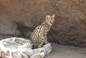 神戸どうぶつ王国に投稿された画像（2021/7/22）