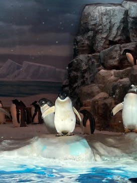 名古屋港水族館に投稿された画像（2021/7/22）