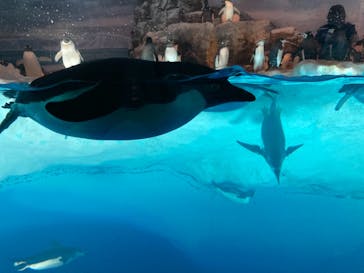 名古屋港水族館に投稿された画像（2021/7/22）