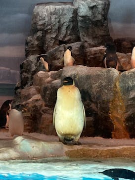 名古屋港水族館に投稿された画像（2021/7/22）