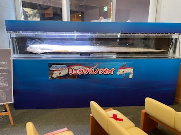 アクアワールド茨城県大洗水族館に投稿された画像（2021/7/22）