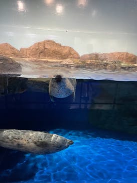 マクセル アクアパーク品川に投稿された画像（2021/7/22）